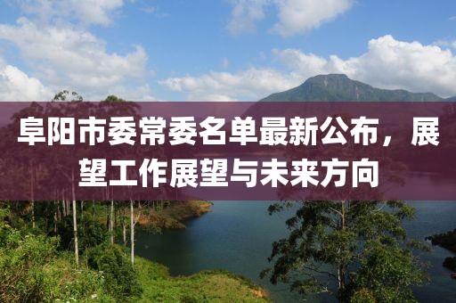 阜陽市委常委名單最新公布，展望工作展望與未來方向