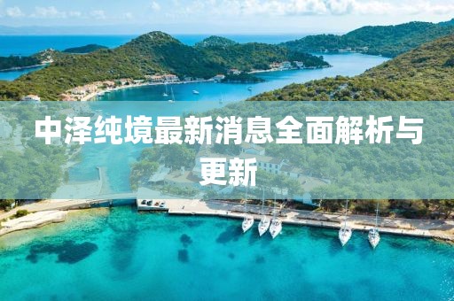 中澤純境最新消息全面解析與更新