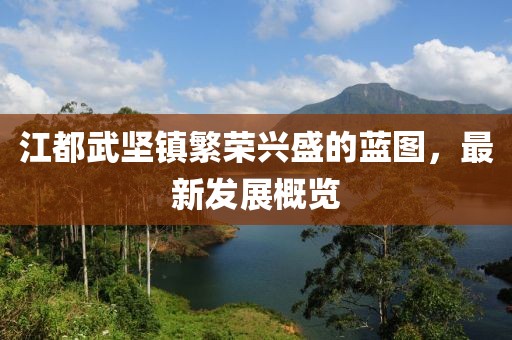 江都武堅(jiān)鎮(zhèn)繁榮興盛的藍(lán)圖，最新發(fā)展概覽
