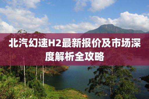北汽幻速H2最新報價及市場深度解析全攻略