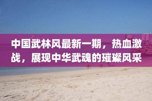 中國武林風(fēng)最新一期，熱血激戰(zhàn)，展現(xiàn)中華武魂的璀璨風(fēng)采