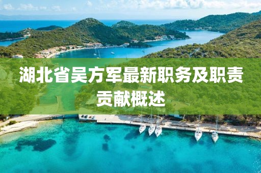 湖北省吳方軍最新職務(wù)及職責(zé)貢獻(xiàn)概述
