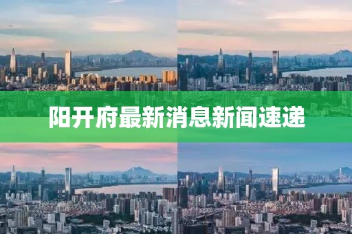 陽開府最新消息新聞速遞
