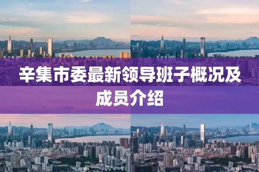辛集市委最新領(lǐng)導(dǎo)班子概況及成員介紹