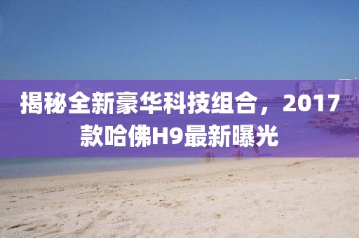 揭秘全新豪華科技組合，2017款哈佛H9最新曝光