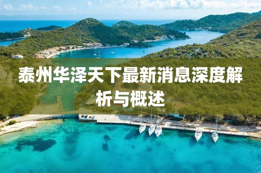 泰州華澤天下最新消息深度解析與概述
