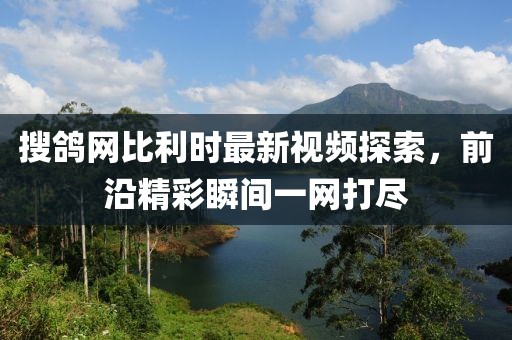 搜鴿網(wǎng)比利時(shí)最新視頻探索，前沿精彩瞬間一網(wǎng)打盡
