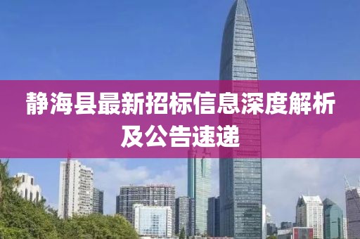 靜海縣最新招標信息深度解析及公告速遞