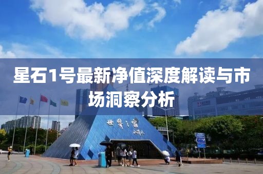 星石1號(hào)最新凈值深度解讀與市場(chǎng)洞察分析