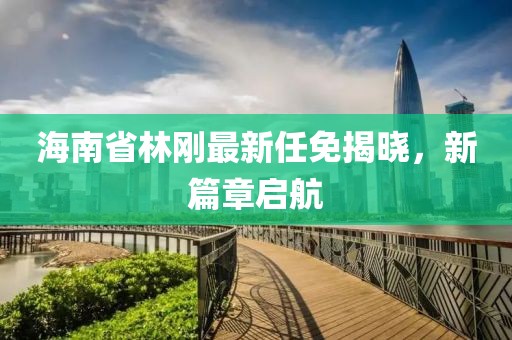 海南省林剛最新任免揭曉，新篇章啟航