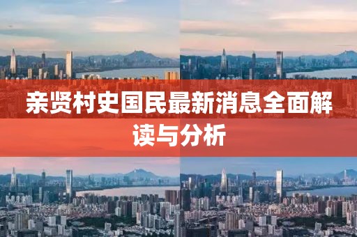 親賢村史國民最新消息全面解讀與分析