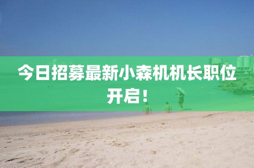 今日招募最新小森機機長職位開啟！
