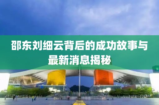 邵東劉細(xì)云背后的成功故事與最新消息揭秘
