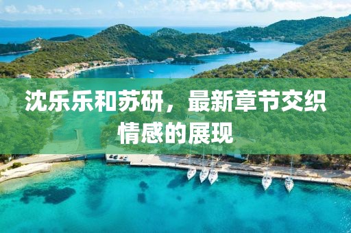 沈樂樂和蘇研，最新章節(jié)交織情感的展現(xiàn)