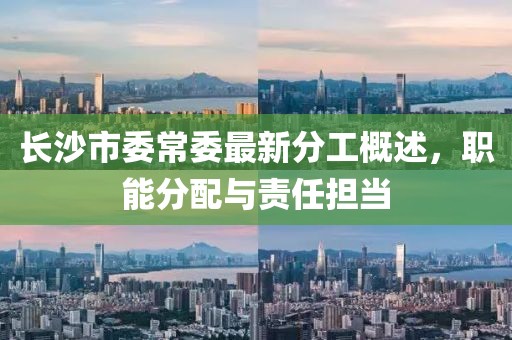 長沙市委常委最新分工概述，職能分配與責任擔當
