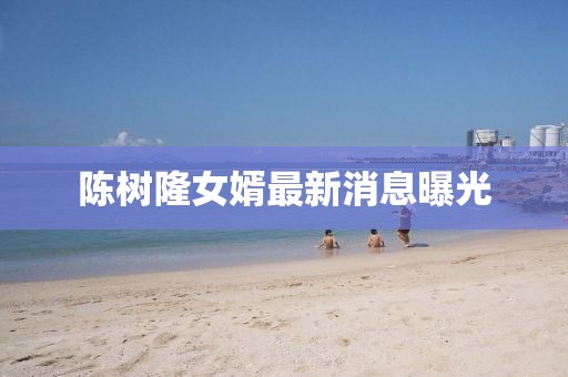 陳樹隆女婿最新消息曝光