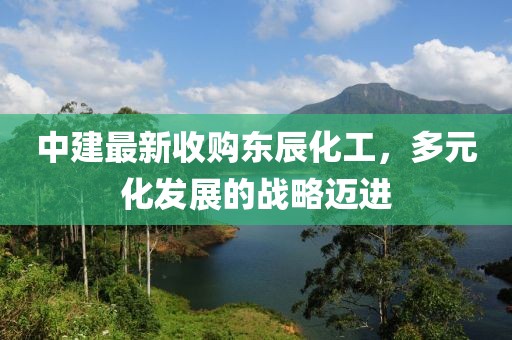 中建最新收購(gòu)東辰化工，多元化發(fā)展的戰(zhàn)略邁進(jìn)