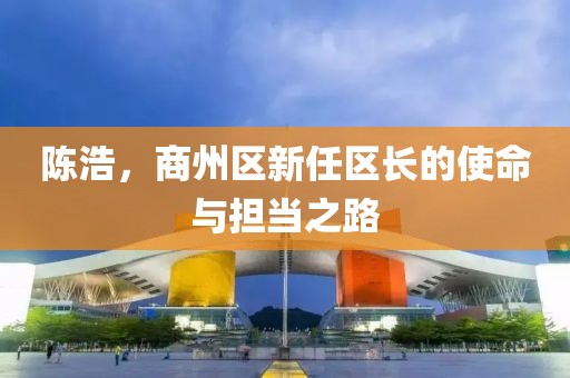 陳浩，商州區(qū)新任區(qū)長的使命與擔(dān)當(dāng)之路