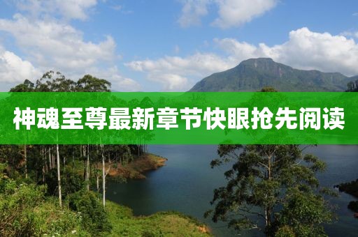 神魂至尊最新章節(jié)快眼搶先閱讀