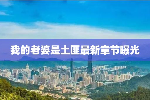我的老婆是土匪最新章節(jié)曝光