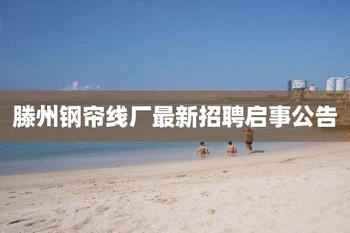 滕州鋼簾線廠最新招聘啟事公告
