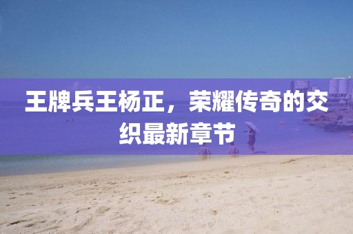 王牌兵王楊正，榮耀傳奇的交織最新章節(jié)