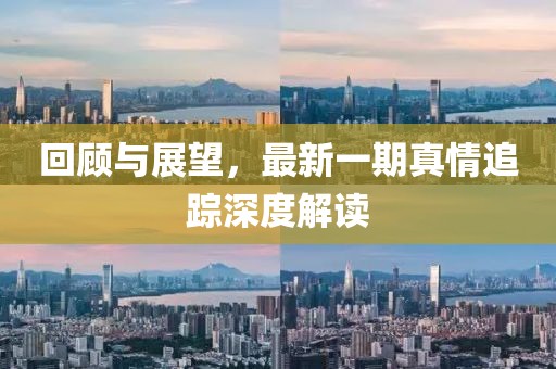 回顧與展望，最新一期真情追蹤深度解讀