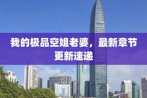 我的極品空姐老婆，最新章節(jié)更新速遞