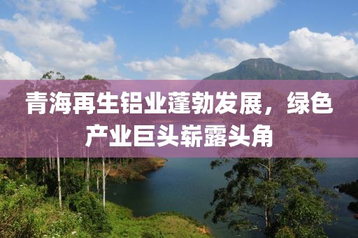 青海再生鋁業(yè)蓬勃發(fā)展，綠色產(chǎn)業(yè)巨頭嶄露頭角