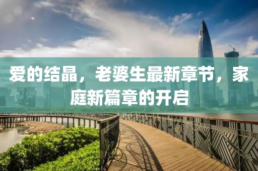 愛的結晶，老婆生最新章節(jié)，家庭新篇章的開啟