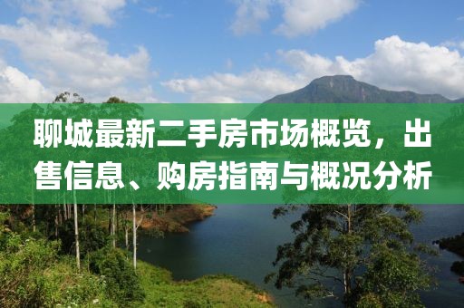 聊城最新二手房市場(chǎng)概覽，出售信息、購(gòu)房指南與概況分析