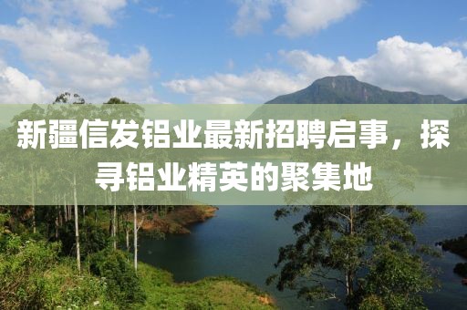 新疆信發(fā)鋁業(yè)最新招聘啟事，探尋鋁業(yè)精英的聚集地