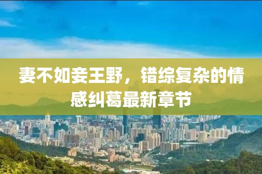 妻不如妾王野，錯(cuò)綜復(fù)雜的情感糾葛最新章節(jié)