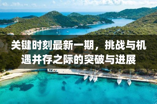 關(guān)鍵時(shí)刻最新一期，挑戰(zhàn)與機(jī)遇并存之際的突破與進(jìn)展