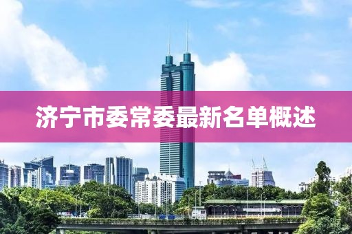 濟寧市委常委最新名單概述