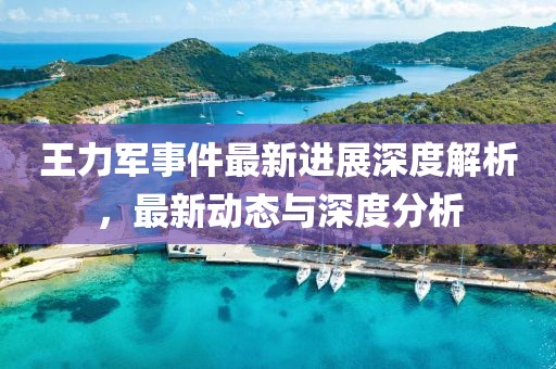 王力軍事件最新進(jìn)展深度解析，最新動(dòng)態(tài)與深度分析