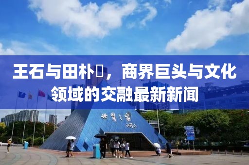 王石與田樸琤，商界巨頭與文化領(lǐng)域的交融最新新聞