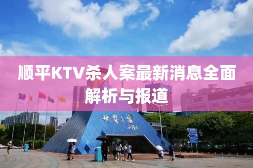 順平KTV殺人案最新消息全面解析與報道