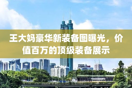 王大媽豪華新裝備圖曝光，價(jià)值百萬(wàn)的頂級(jí)裝備展示
