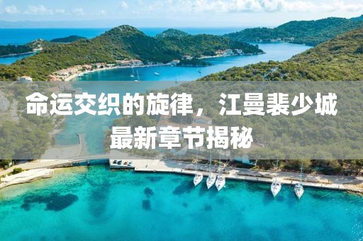 命運交織的旋律，江曼裴少城最新章節(jié)揭秘