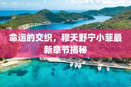 命運的交織，穆天野寧小菲最新章節(jié)揭秘