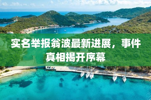 實名舉報翁波最新進展，事件真相揭開序幕