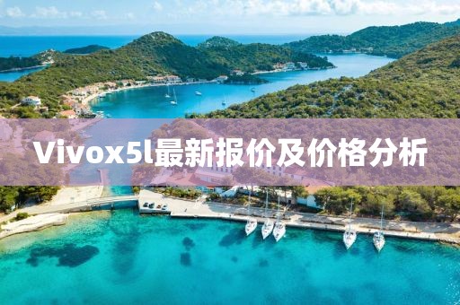 Vivox5l最新報價及價格分析
