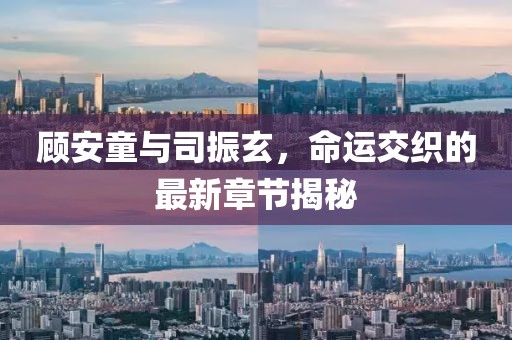 顧安童與司振玄，命運交織的最新章節(jié)揭秘
