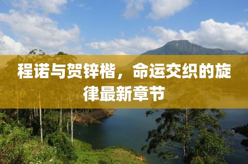 程諾與賀鋅楷，命運交織的旋律最新章節(jié)