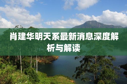 肖建華明天系最新消息深度解析與解讀