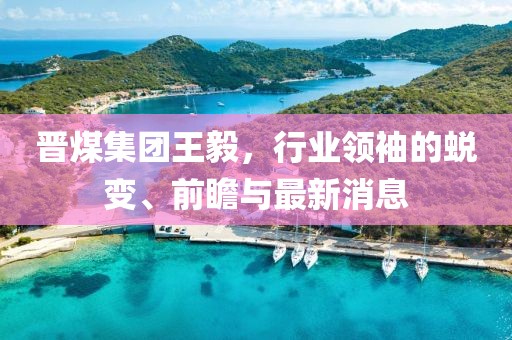 晉煤集團王毅，行業(yè)領(lǐng)袖的蛻變、前瞻與最新消息