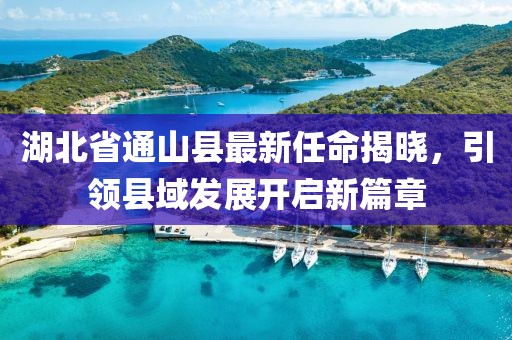 湖北省通山縣最新任命揭曉，引領(lǐng)縣域發(fā)展開啟新篇章