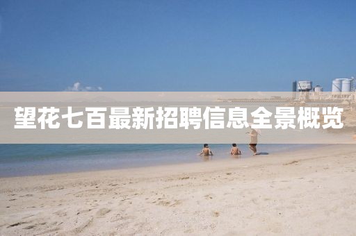 望花七百最新招聘信息全景概覽