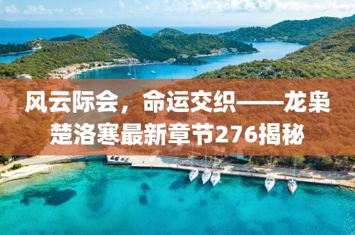 風(fēng)云際會(huì)，命運(yùn)交織——龍梟楚洛寒最新章節(jié)276揭秘